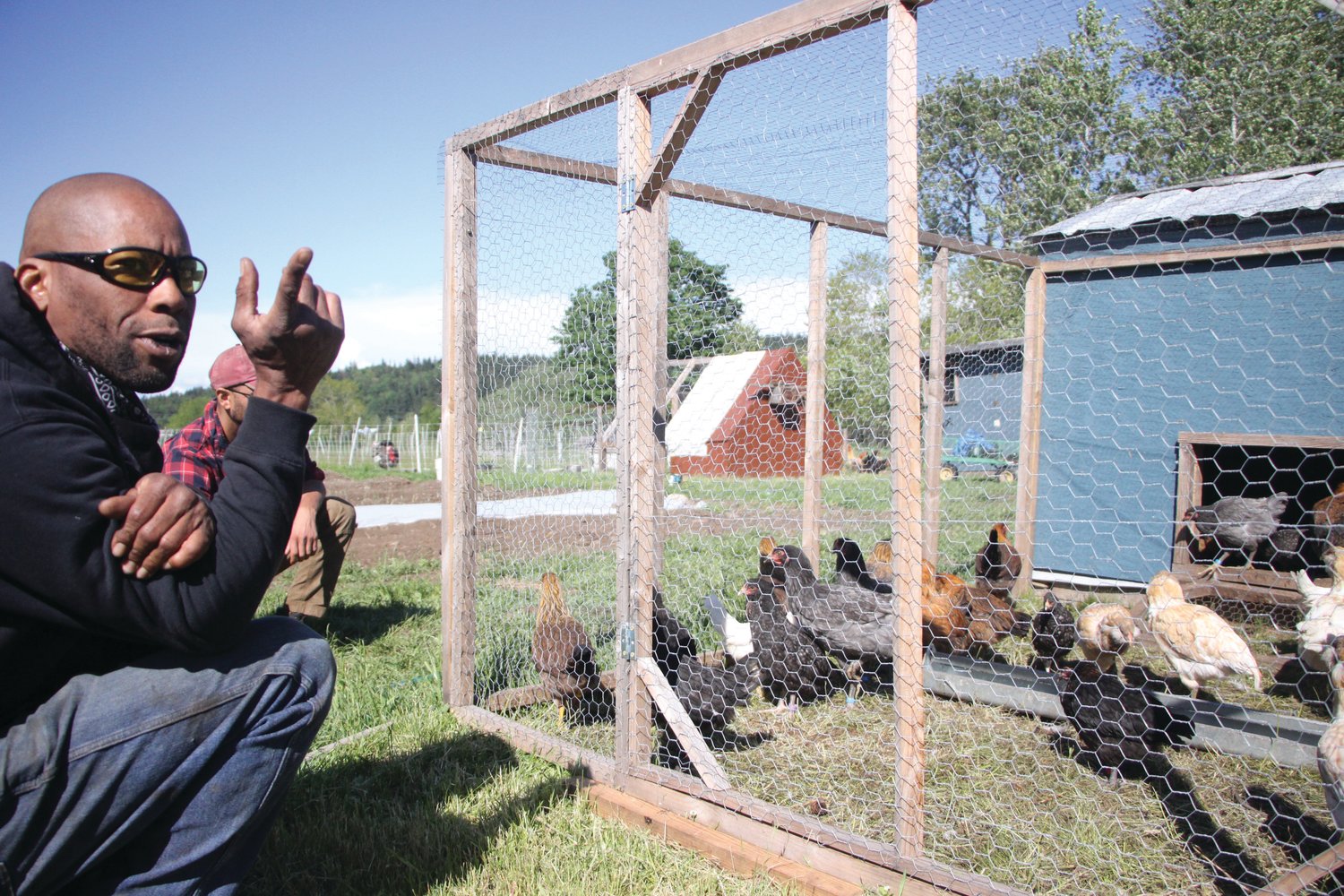 Peter Mustin discusses the wide variety of poultry raised at the property.